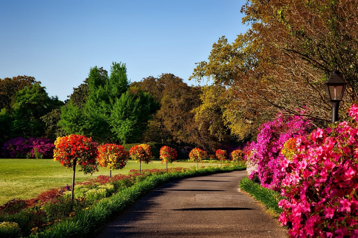 A manicured garden path lined with colourful flowering shrubs and trees - CFUW Town & Country Garden Tour in Belleville